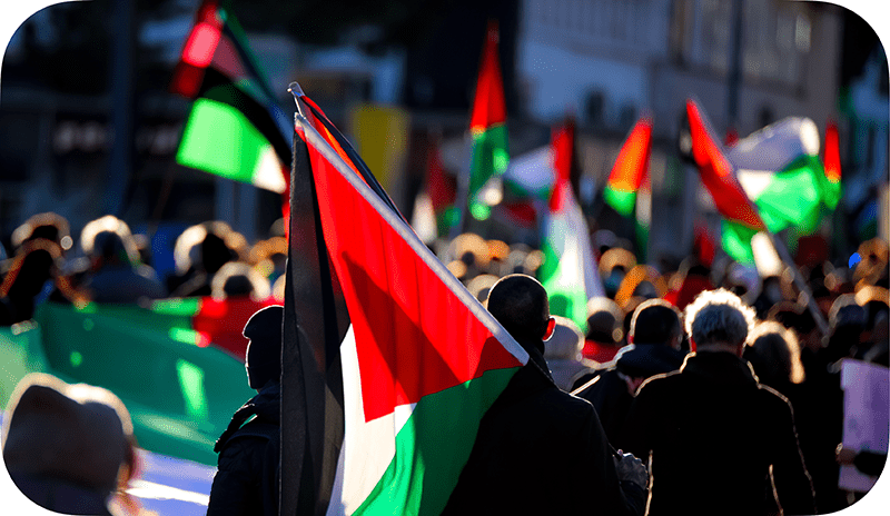 Palestine Protests